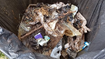 Bin bag of discarded wipes and other rubbish picked up from Craigendoran Beach