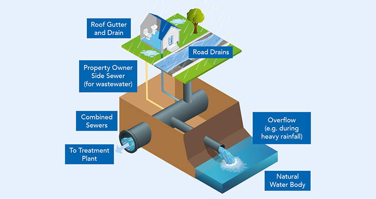 infopgraphic showing a house and associated pipework below with their journeys to the sewer network and the waterbody