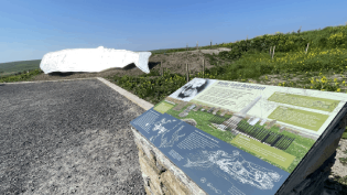 An interpretation board mounted on a stone plinth sits in the foreground of the picture. It is cited in a car park, with grass behind it. In the background of the far left of the picture sits a 12metre long metal sculpture of a sperm whale, facing out of the frame.