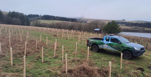 Woodland creation at Arnot Reservoir, Glenrothes